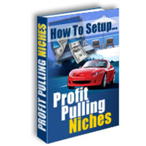 Product picture How To Setup Profit Pulling Niches + Resell Rights